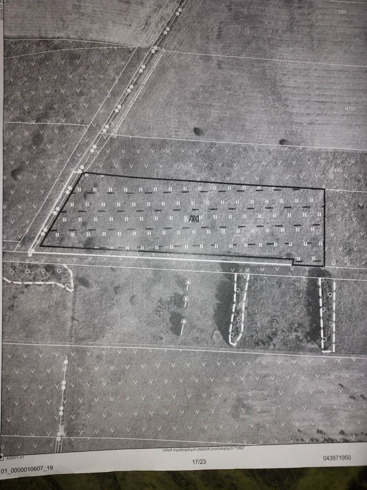 Działka rolna Kruszyniany. Zdjęcie 1