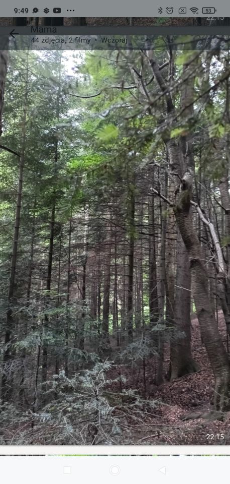 Działka leśna Jazowsko. Zdjęcie 3
