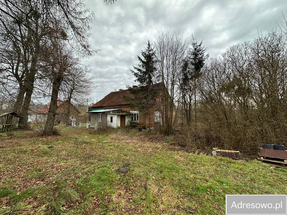 dom wolnostojący Bornice