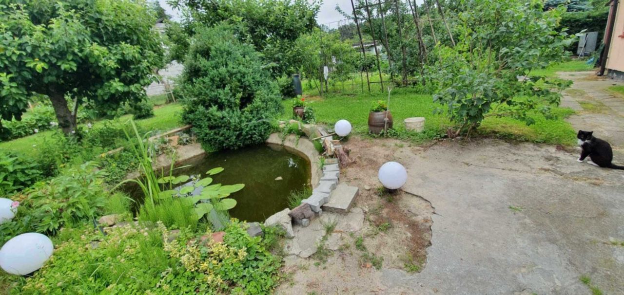 Działka rod Wistka Królewska. Zdjęcie 6