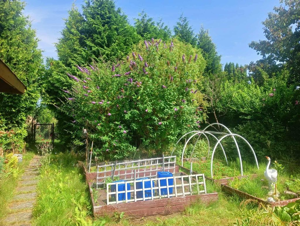 Działka rod Gdynia Obłuże. Zdjęcie 2