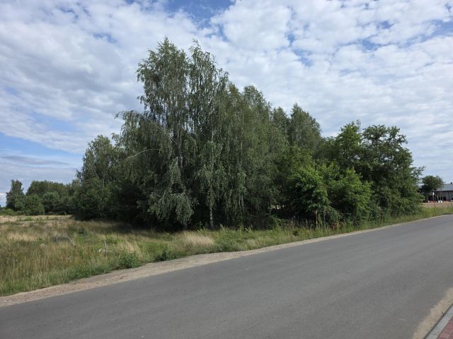 Działka budowlana Nowe Miasto, ul. Ludowa. Zdjęcie 1
