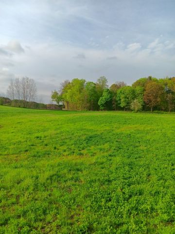Działka rolno-budowlana Kitnowo. Zdjęcie 1