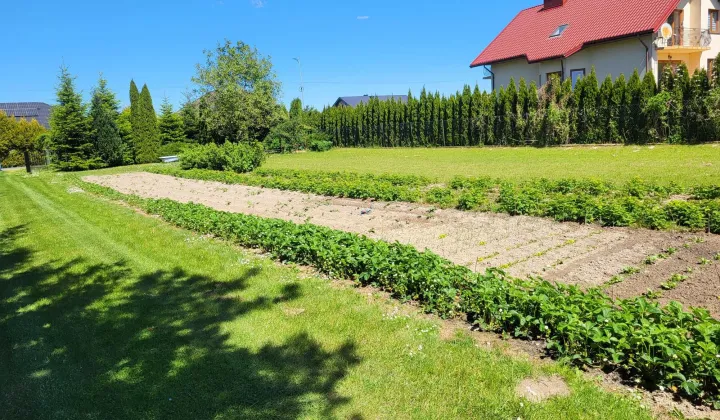 Działka budowlana Turowola-Kolonia