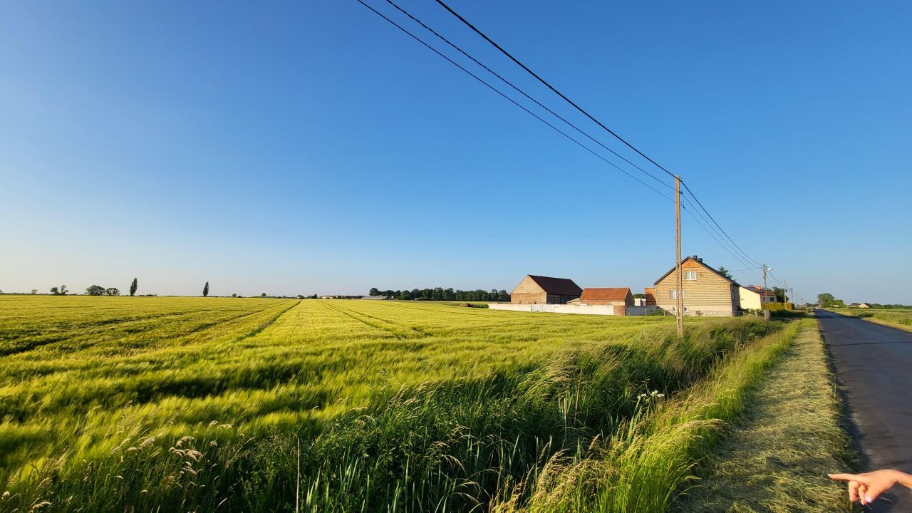 Działka rolno-budowlana Konary. Zdjęcie 8