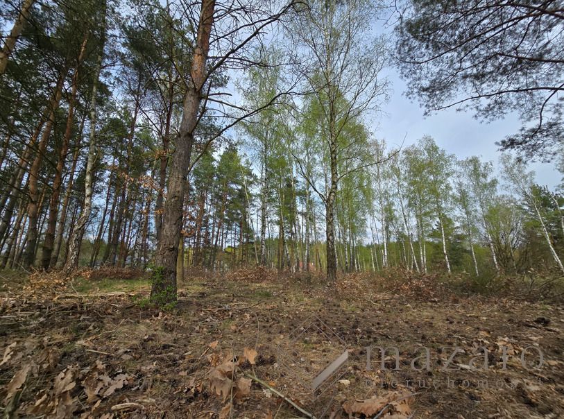 Działka inwestycyjna Bydgoszcz Mariampol, ul. Świętokrzyska. Zdjęcie 7