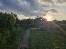 Działka rod Wągrowiec. Zdjęcie 2