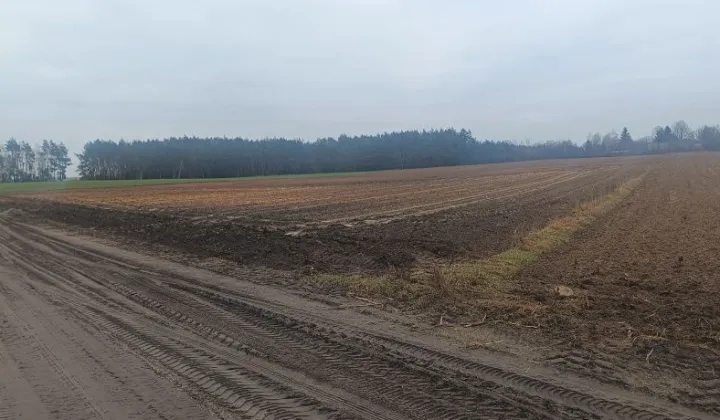 Działka rolno-budowlana Ratowo-Piotrowo