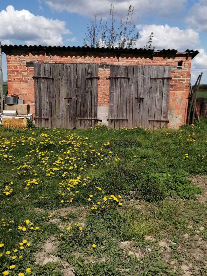 gospodarstwo Rusajny. Zdjęcie 6