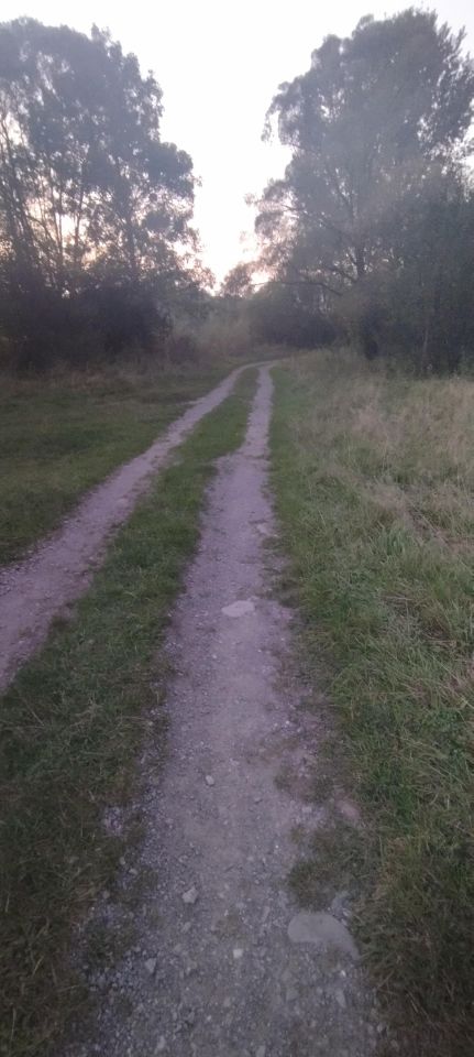 Działka rekreacyjna Jeleśnia Pyrgiesi, ul. Pyrgiesów. Zdjęcie 12