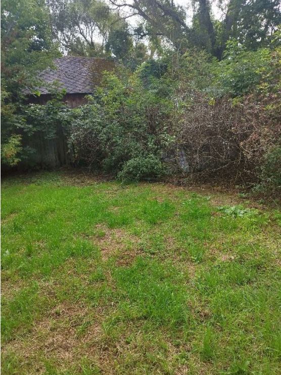 Działka rolno-budowlana Nowa Wieś. Zdjęcie 5