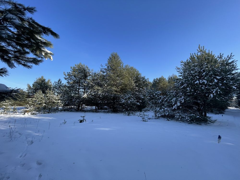Działka budowlana Górki, ul. Krótka. Zdjęcie 6
