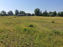 Działka rekreacyjna Kamienica. Zdjęcie 2