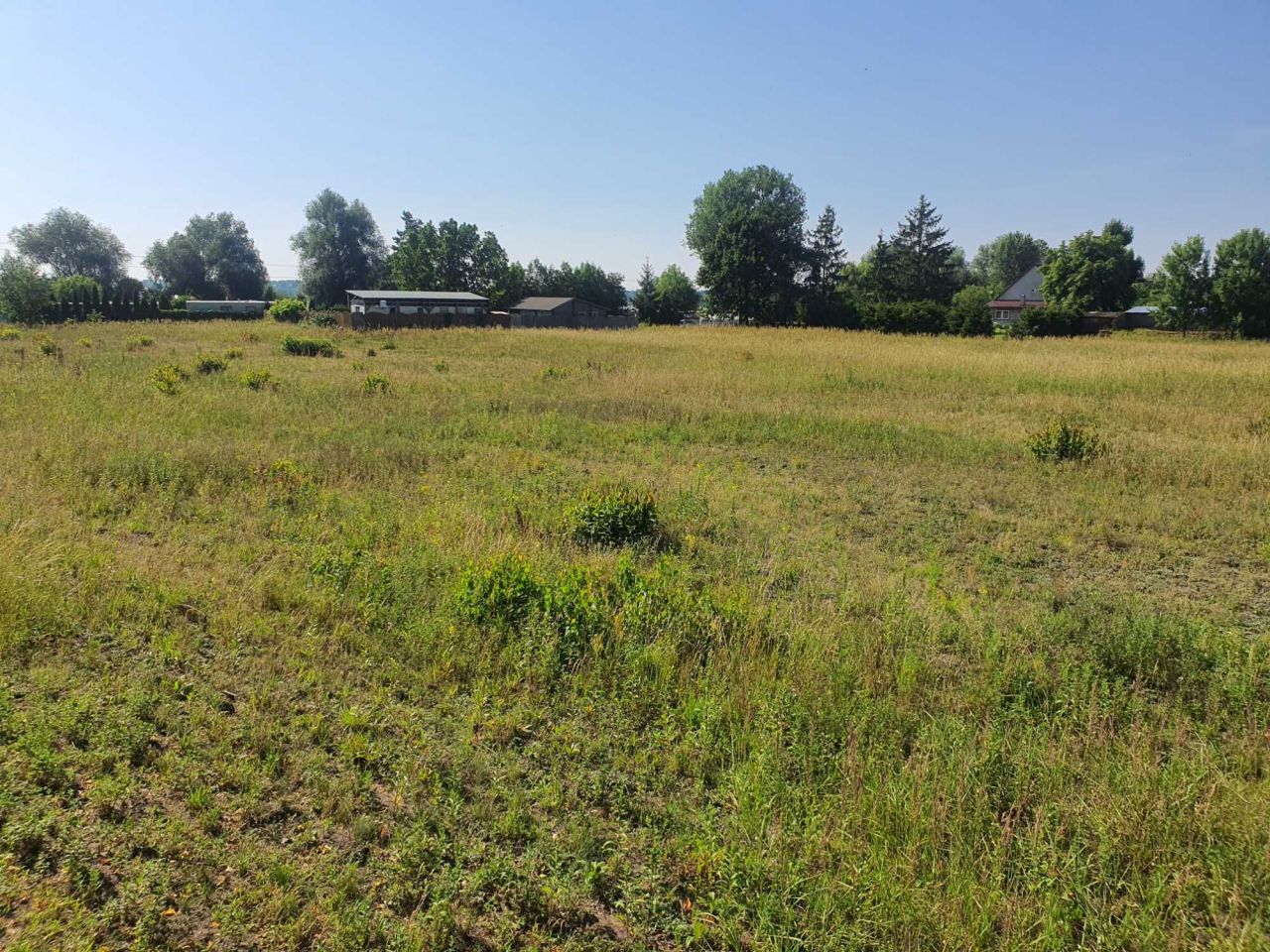 Działka rekreacyjna Kamienica. Zdjęcie 3