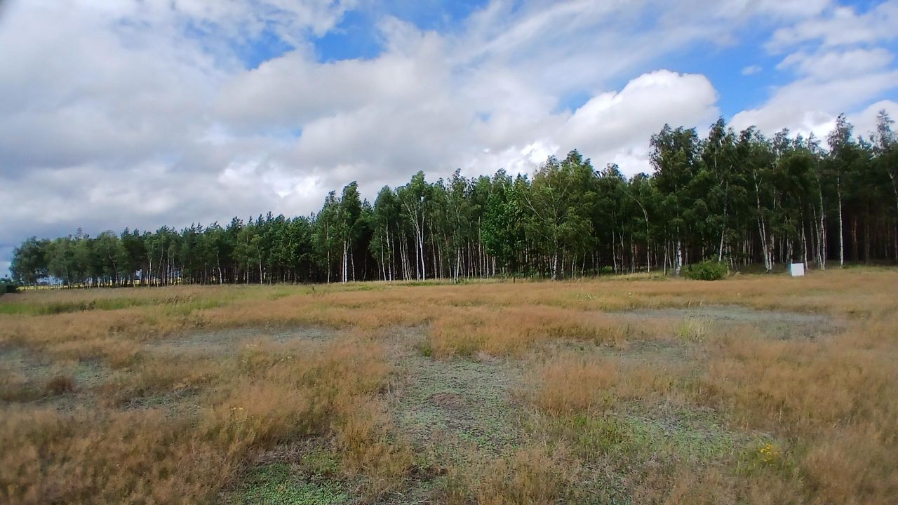 Działka leśna Żydowo. Zdjęcie 8
