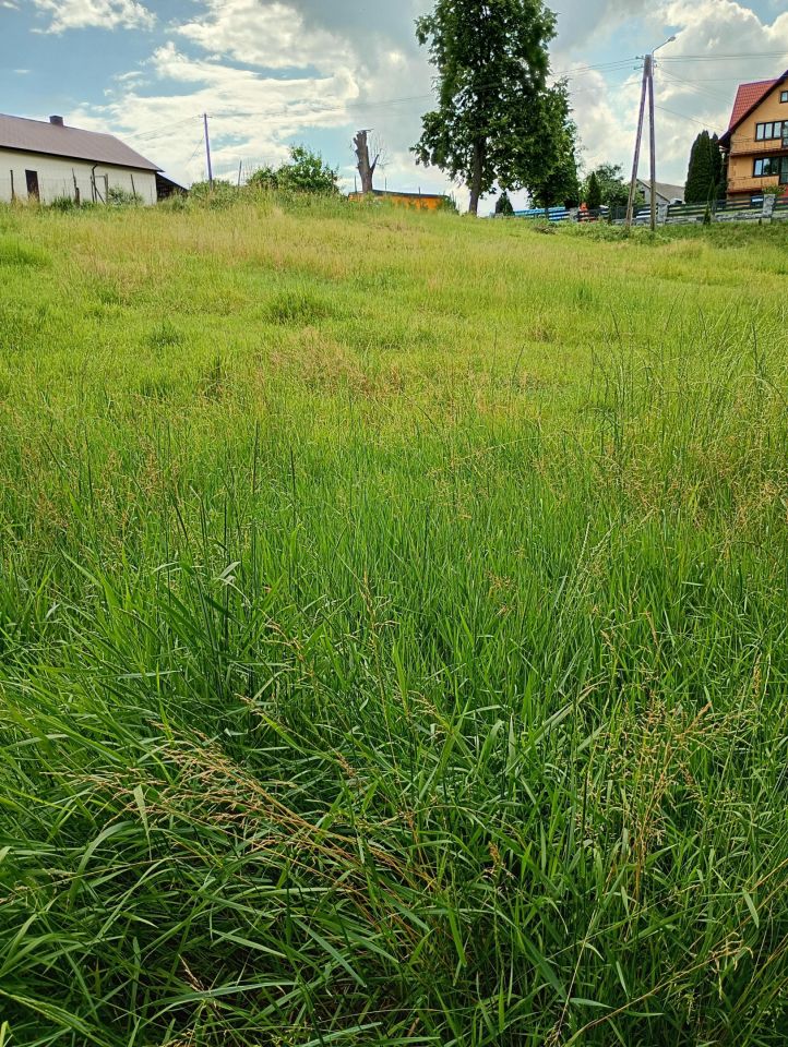 Działka budowlana Nieszków. Zdjęcie 3