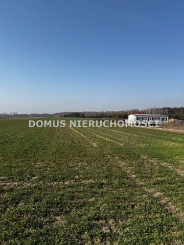 Działka budowlana Złotniki. Zdjęcie 7