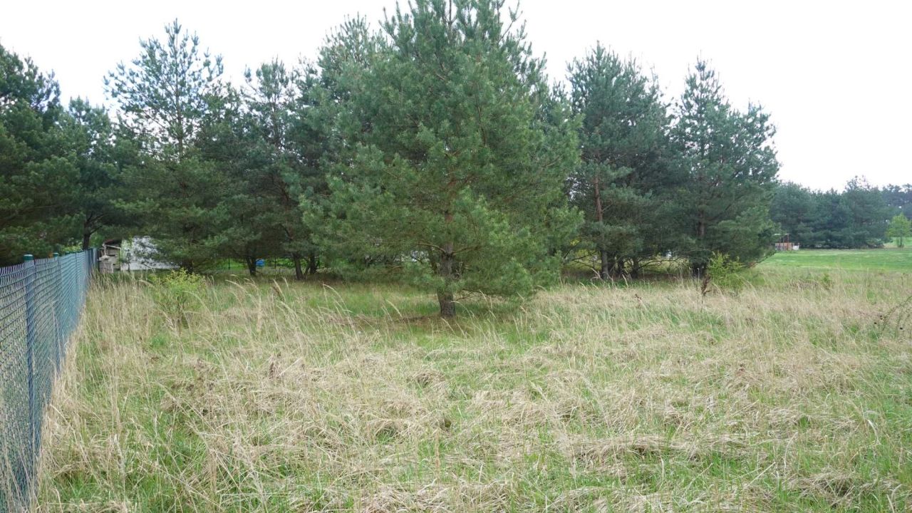 Działka rekreacyjna Wylatkowo. Zdjęcie 7