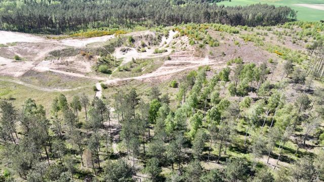 Działka budowlana Chwarzno Kozia. Zdjęcie 5