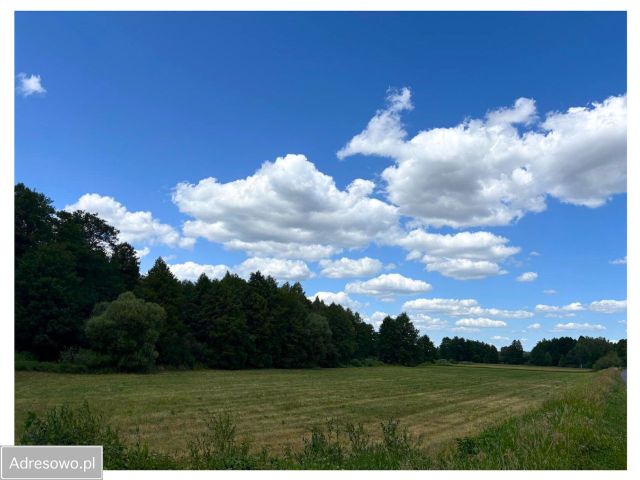 Działka rolno-budowlana Doleck. Zdjęcie 1