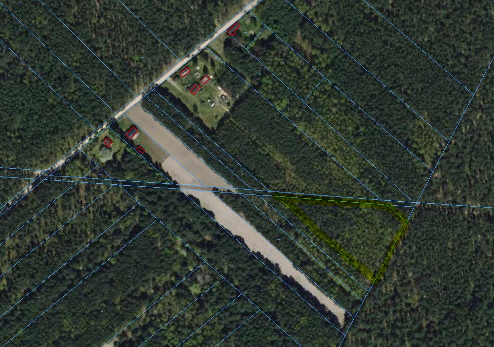 Działka rolna Borowiny. Zdjęcie 2