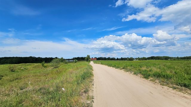 Działka rekreacyjna Zdory. Zdjęcie 12