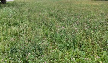 Działka budowlana Zygmuntowo