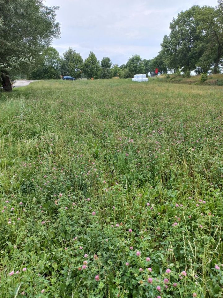 Działka budowlana Zygmuntowo. Zdjęcie 2