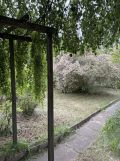 Działka rod Warszawa Wilanów, ul. Augustówka. Zdjęcie 4
