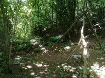 Działka rolna Knieja. Zdjęcie 2