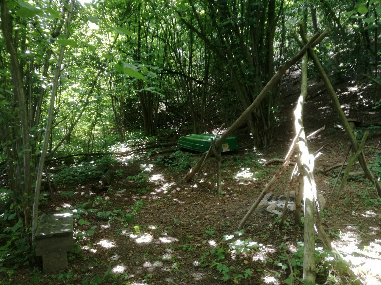 Działka rolna Knieja. Zdjęcie 3