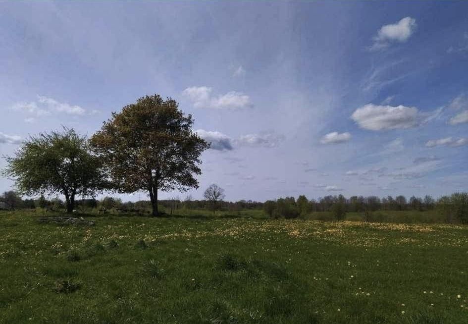 Działka rekreacyjna Raj. Zdjęcie 4