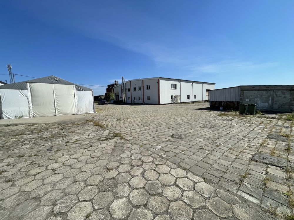 Nieruchomość komercyjna Marcinkowo. Zdjęcie 7