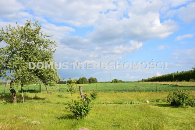 Działka rolna Stefanów. Zdjęcie 4