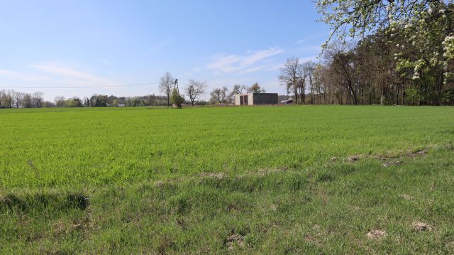 Działka budowlana Charbice Dolne. Zdjęcie 6
