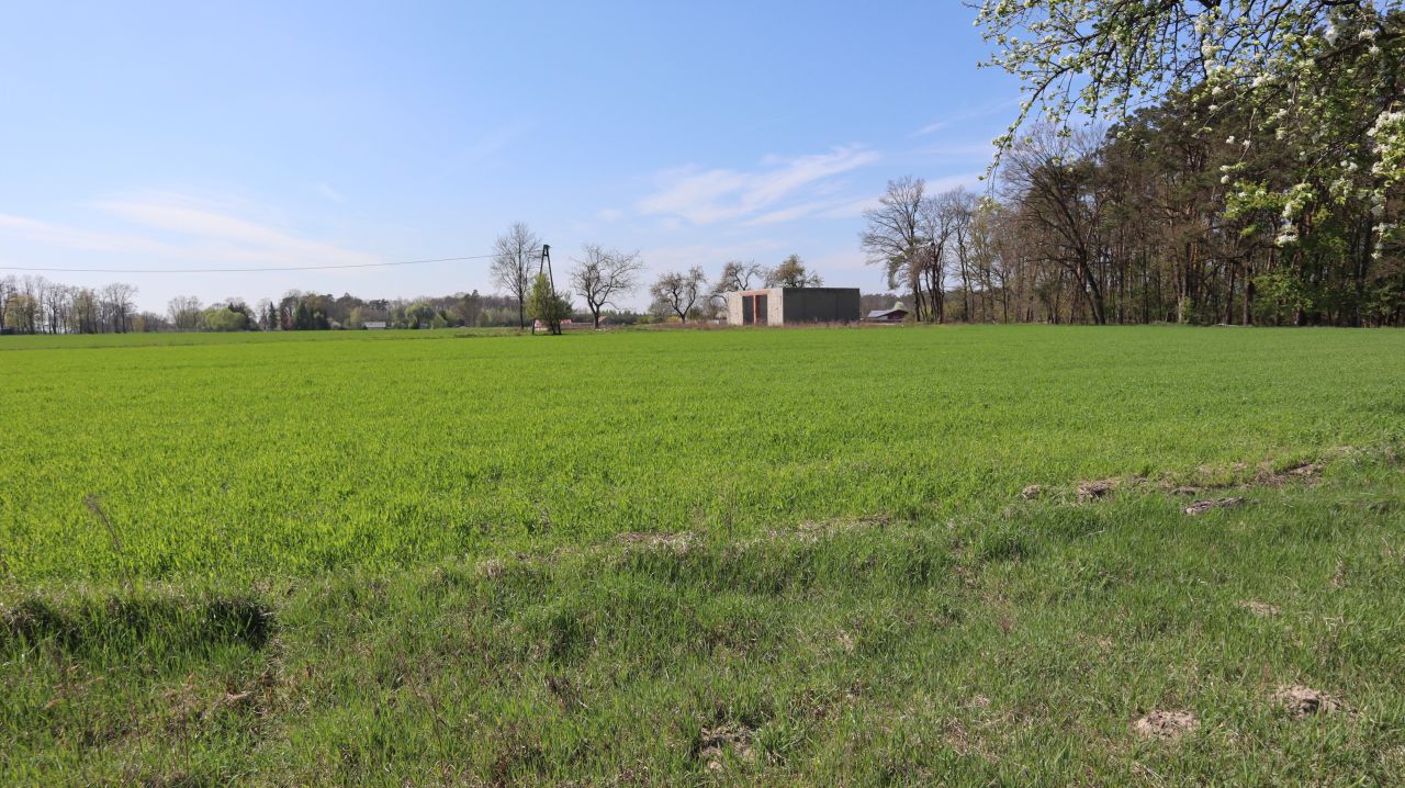 Działka budowlana Charbice Dolne, Charbice Dolne 31b. Zdjęcie 6