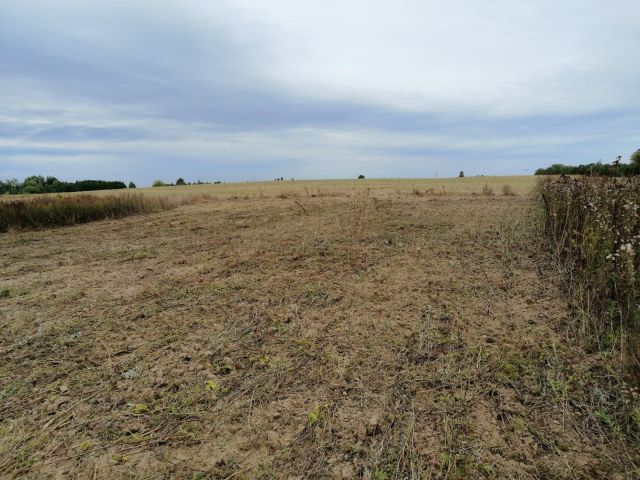 Działka rekreacyjna Piotrowo. Zdjęcie 1