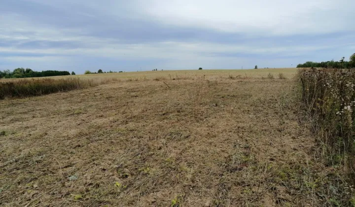 Działka rekreacyjna Piotrowo