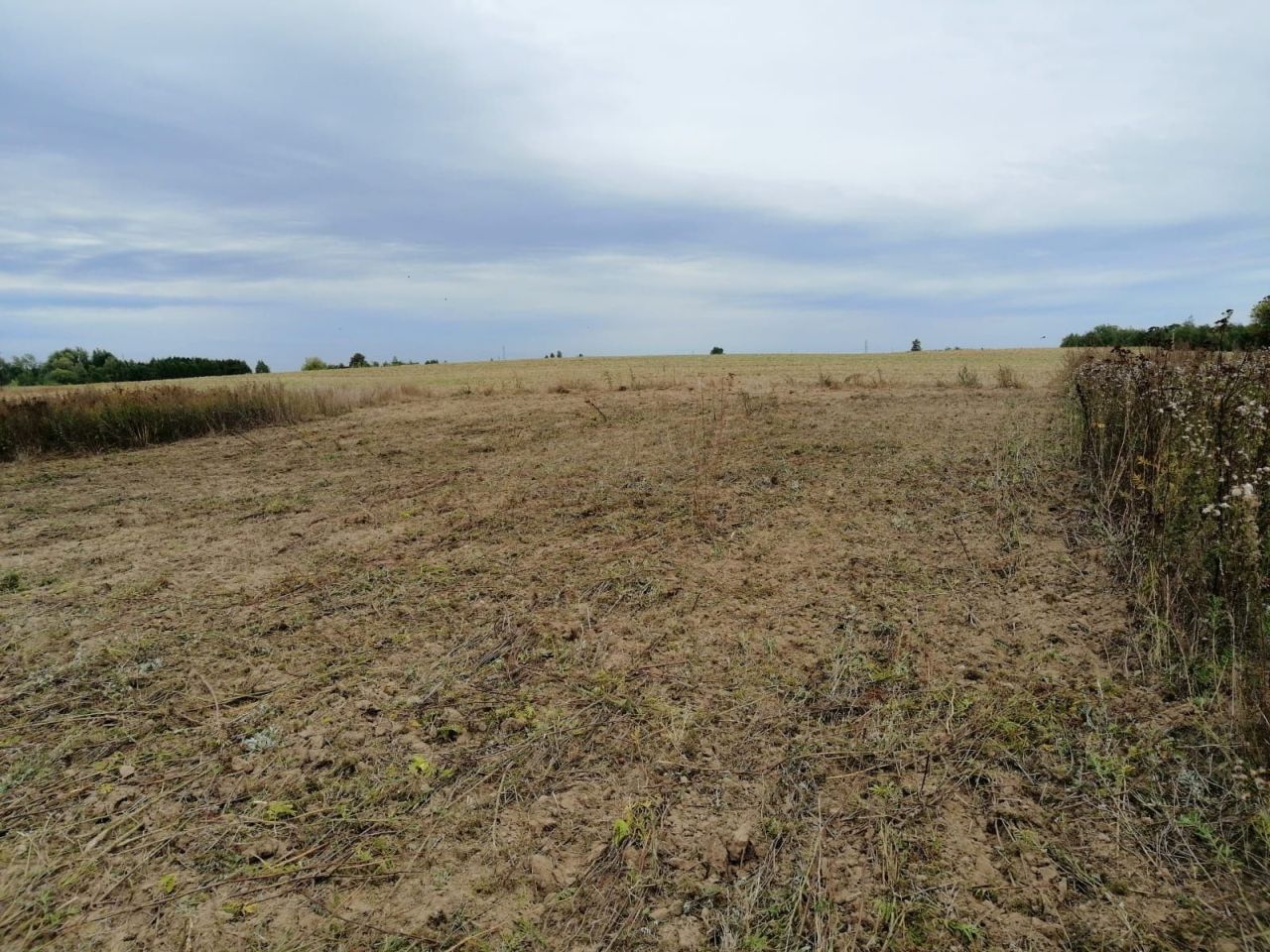 Działka rekreacyjna Piotrowo. Zdjęcie 1