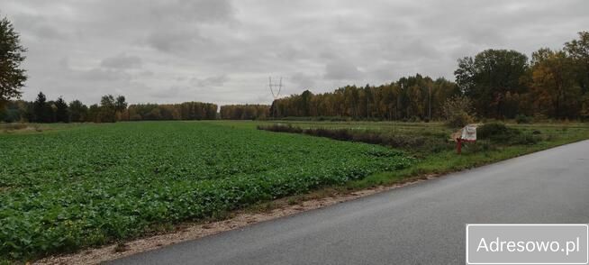 Działka budowlana Orły-Cesin. Zdjęcie 17