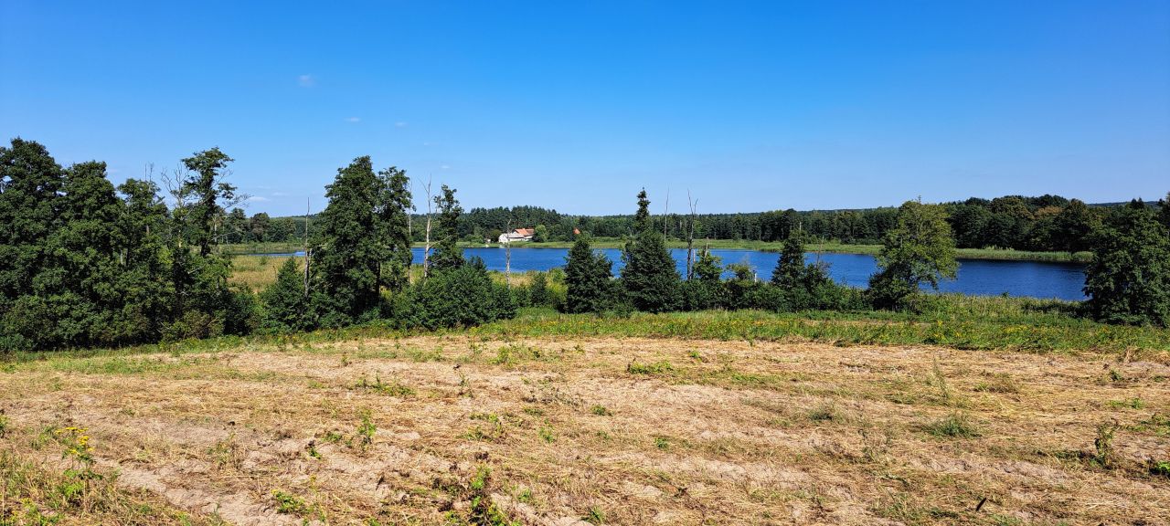 Działka rolna Cerkiewnik. Zdjęcie 3