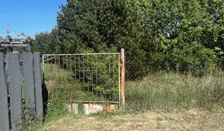 Działka budowlana Jachranka, ul. Wspólna