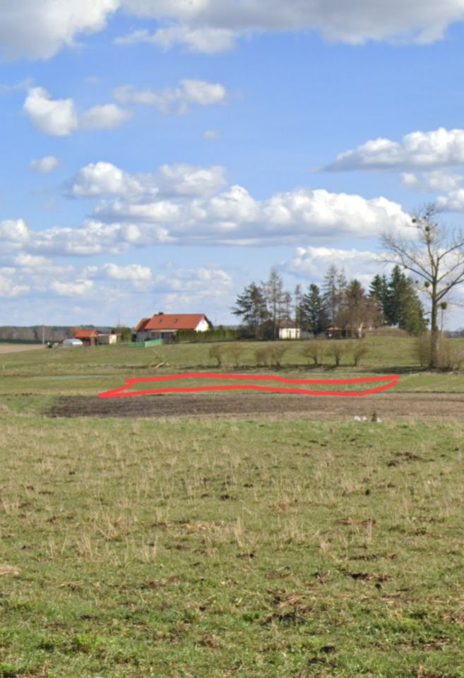 Działka rolno-budowlana Kożuchy Wielkie. Zdjęcie 3