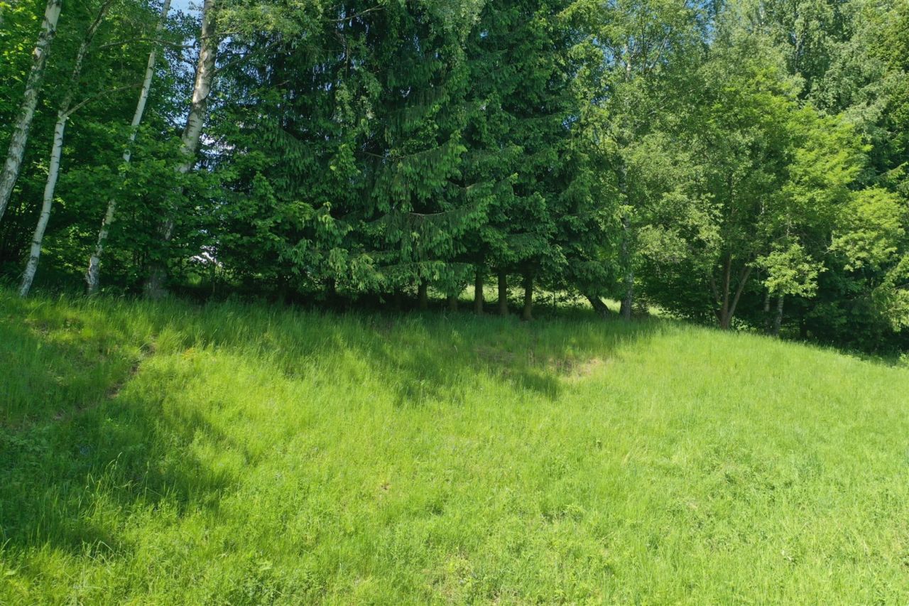 Działka inwestycyjna Szklarska Poręba Szklarska Poręba Górna, ul. Mikołaja Kopernika. Zdjęcie 7