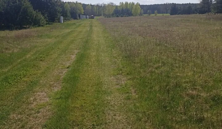 Działka budowlana Arciechów, ul. Starorzecze