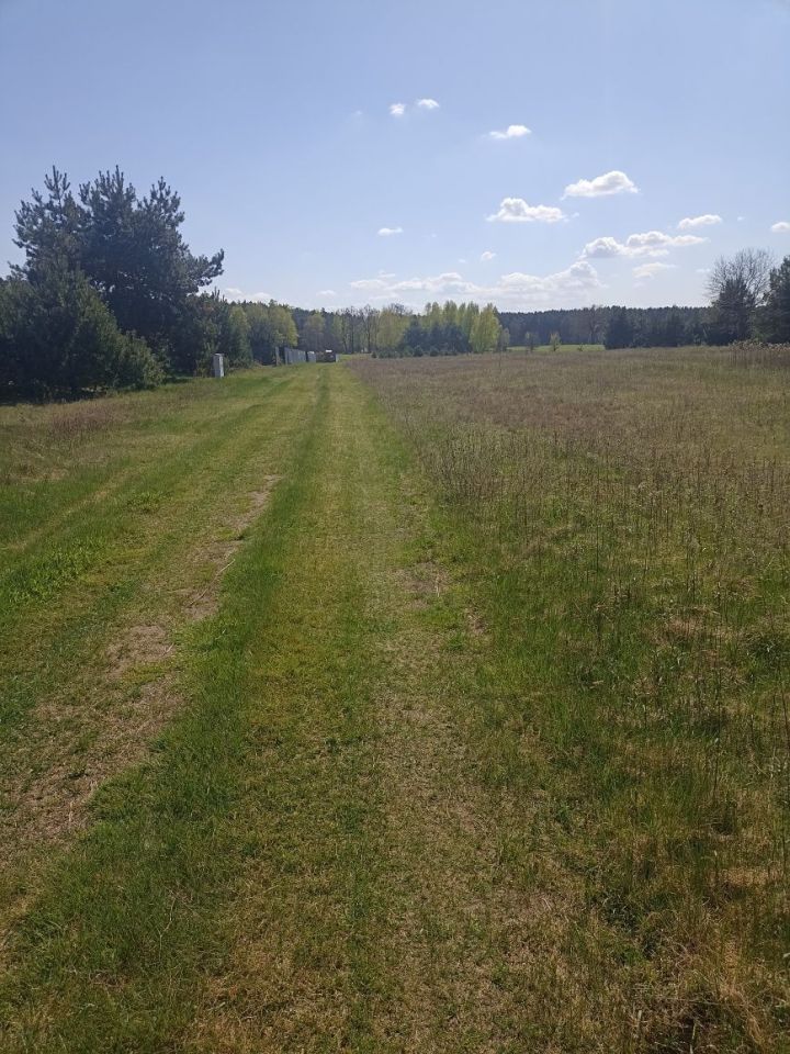 Działka budowlana Arciechów, ul. Starorzecze. Zdjęcie 1