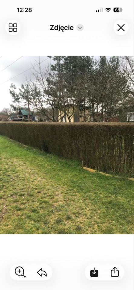 Działka rod Wrocław Sołtysowice. Zdjęcie 5