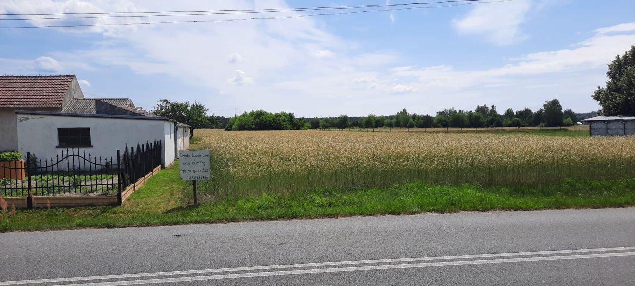 Działka rolno-budowlana Dylaki Michalanka, ulica Ozimska. Zdjęcie 3