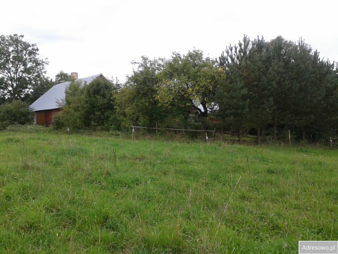 Działka siedliskowa Wólka. Zdjęcie 9