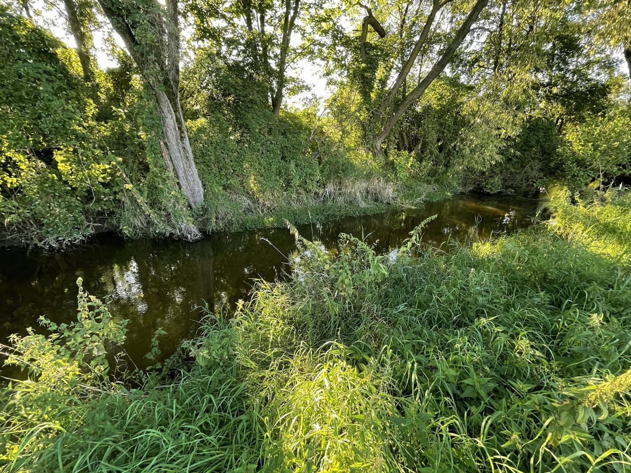 Działka rolno-budowlana Idzbark Idzbarski Młyn. Zdjęcie 6